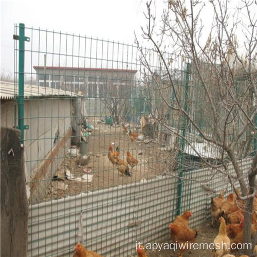 Mesh filo saldato in acciaio zincato per gabbie di pollo